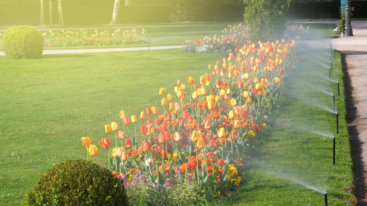 Why Our Clients Say That We Are the Best Commercial Landscape Contractor in West Bend