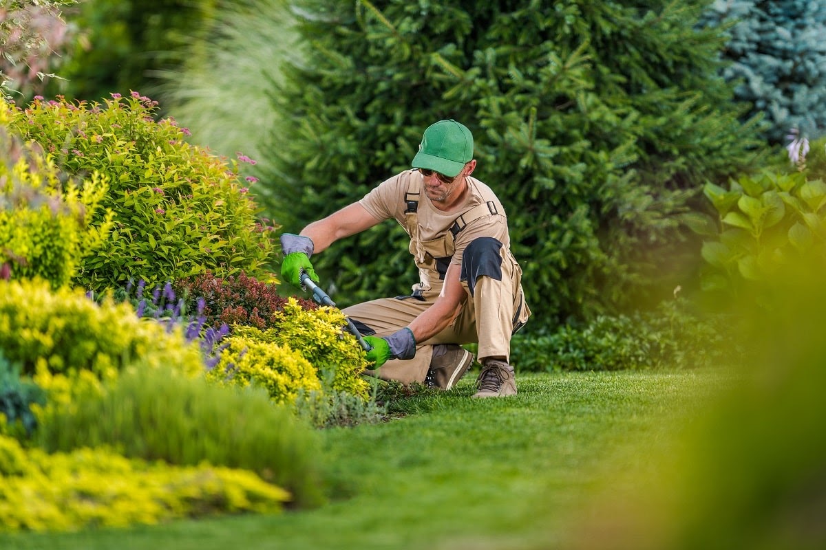 Why Our Clients Say That We Are the Best Commercial Landscape Contractor in Janesville