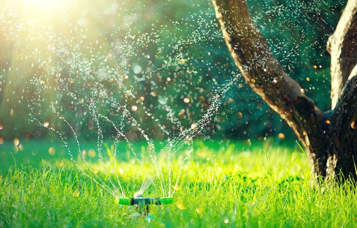Why Our Clients Say That We Are the Best Commercial Landscape Contractor in Marinette