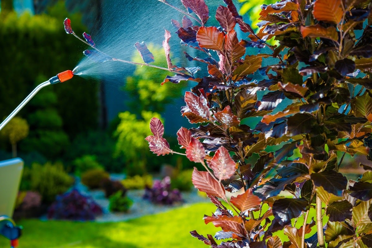 Why Our Clients Say That We Are the Best Commercial Landscape Contractor in Delavan