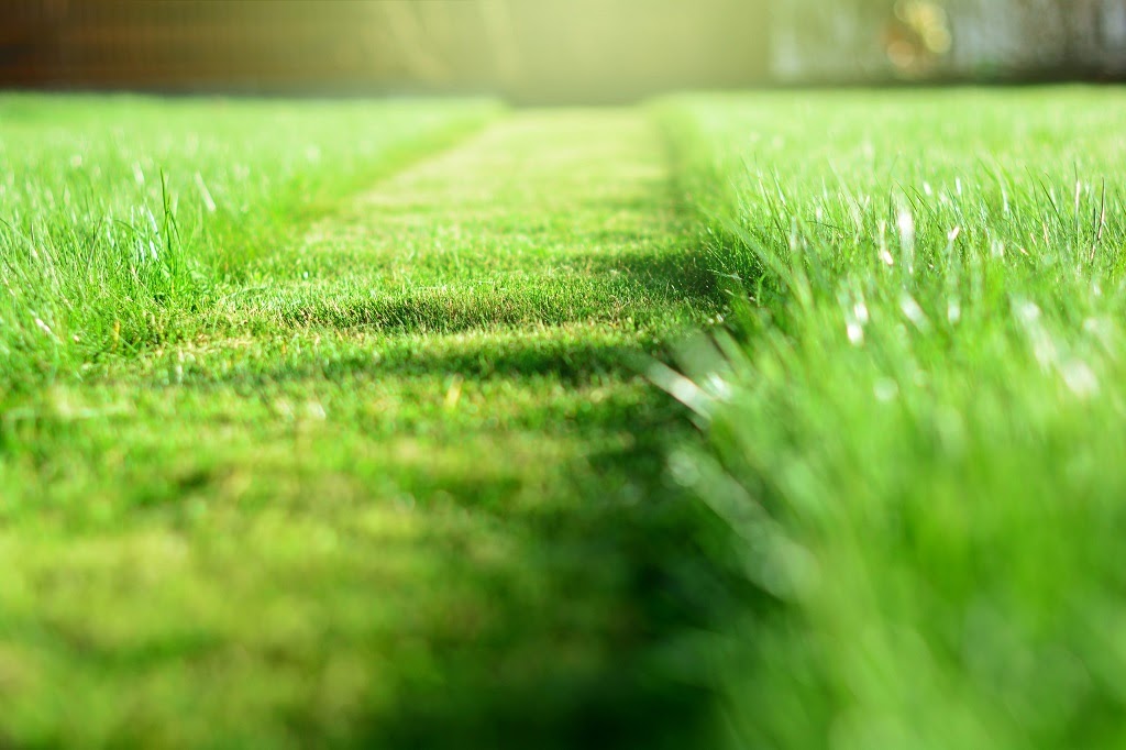 Commercial Landscaping Services Near the International Falls, Minnesota Area