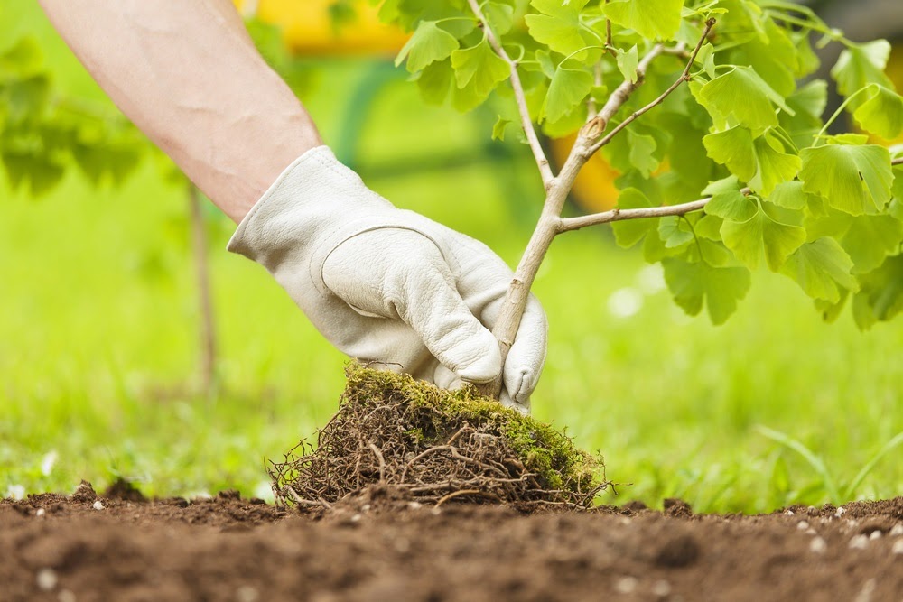 Commercial Landscaping Services Near the Cleveland Area