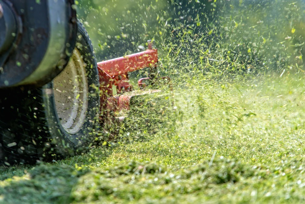 Commercial Landscaping Services Near the Bowling Green, Ohio Area