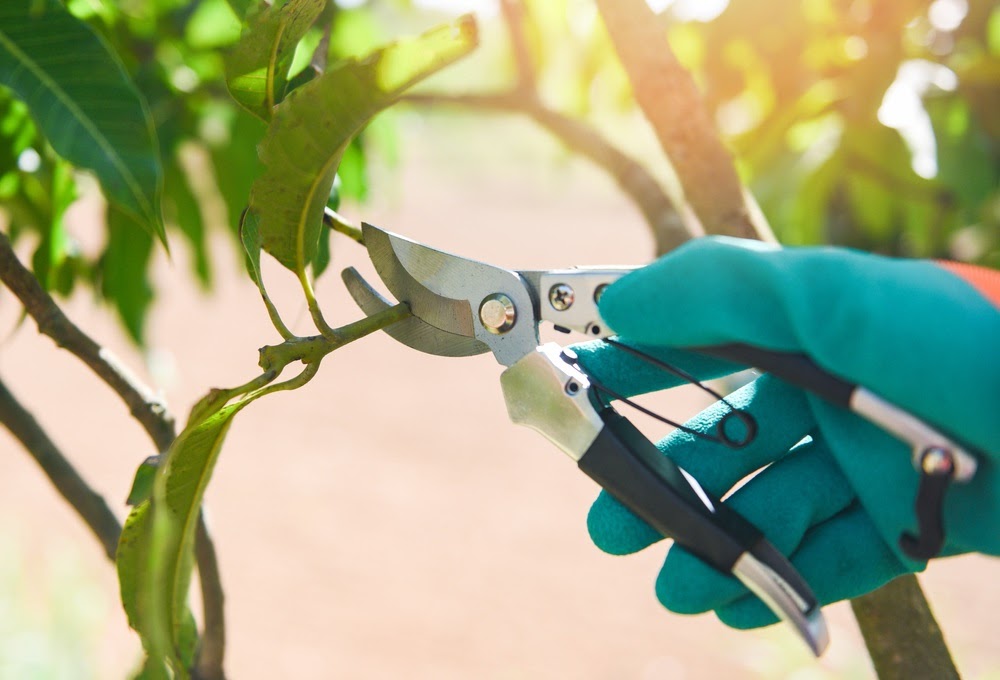 Commercial Landscaping Services Near the Akron, Ohio Area