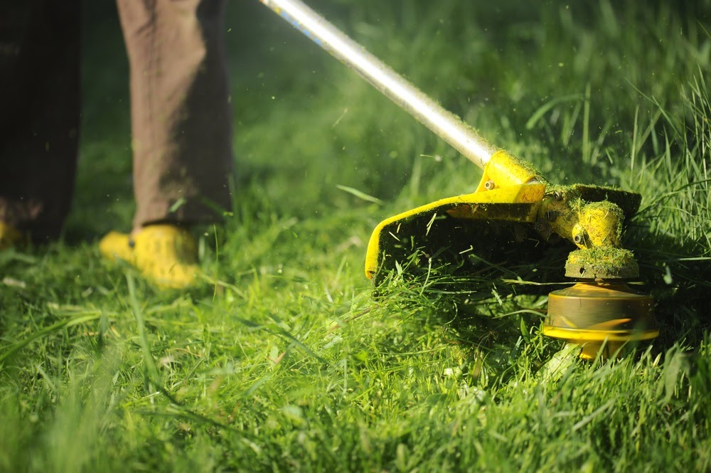 Commercial Landscaping Services Near the Cincinnati, Ohio Area