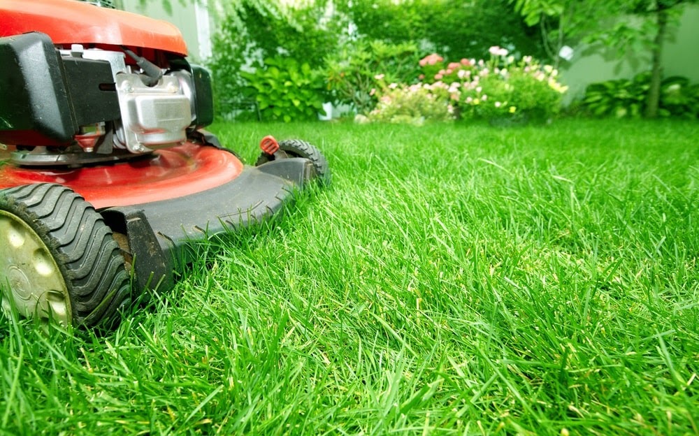 Commercial Landscaping Services Near the Fergus Falls, Minnesota Area