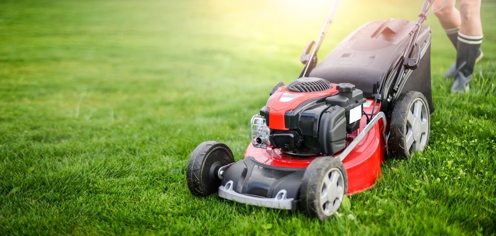 Commercial Landscaping Services Near the Cambridge, Minnesota Area