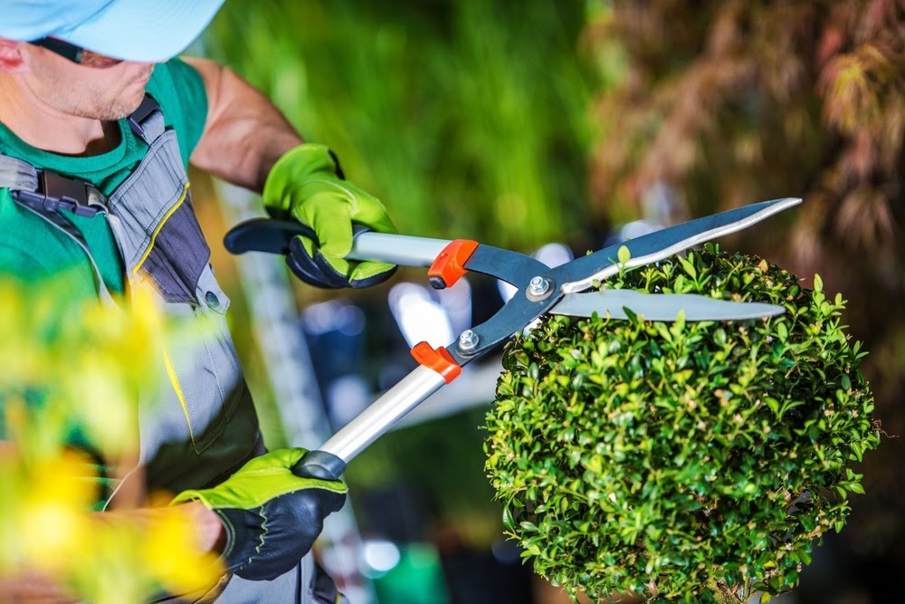 Commercial Landscaping Services Near the Owatonna, Minnesota Area