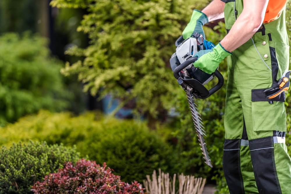 Commercial Landscaping Services Near the Winona, Minnesota Area
