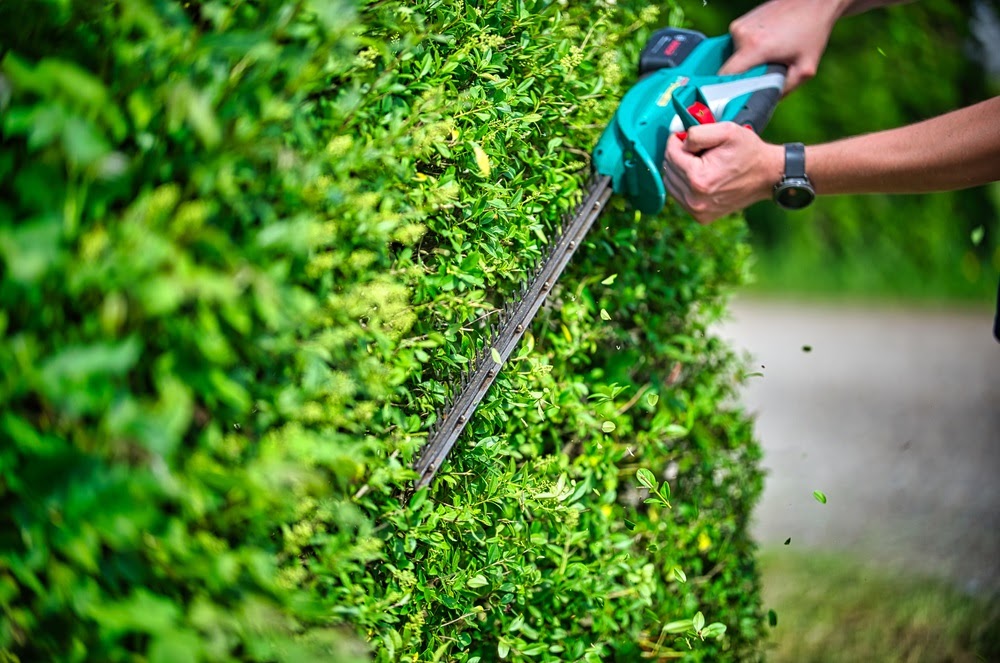 Commercial Landscaping Services Near the Baxter, Minnesota Area