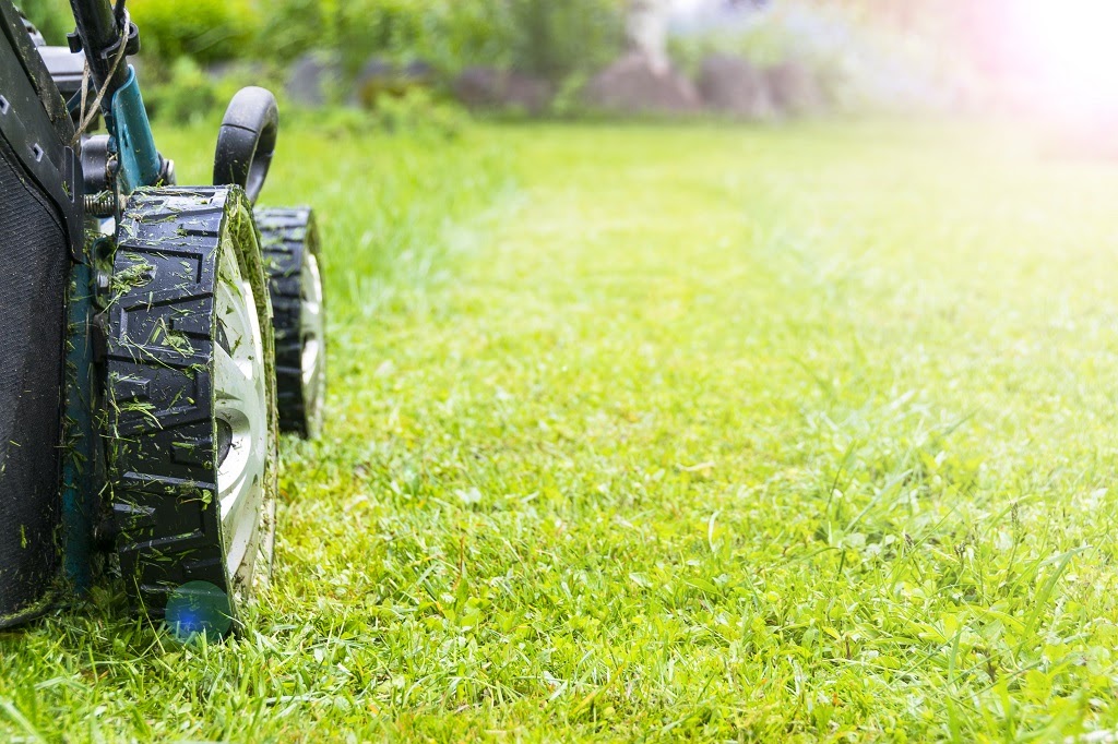 Why Our Clients Think that We are the Best Landscape Contractors in Davenport