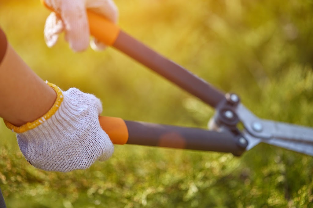 Why Our Clients Think that We are the Best Landscape Contractors in Dubuque