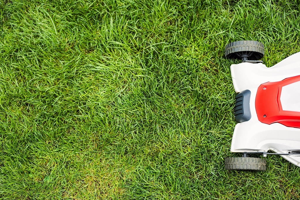 Why Our Clients Think that We are the Best Landscape Contractors in Indianapolis