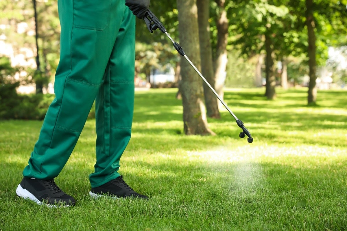 Why Our Clients Say That We Are the Best Commercial Landscape Contractor in Sheboygan