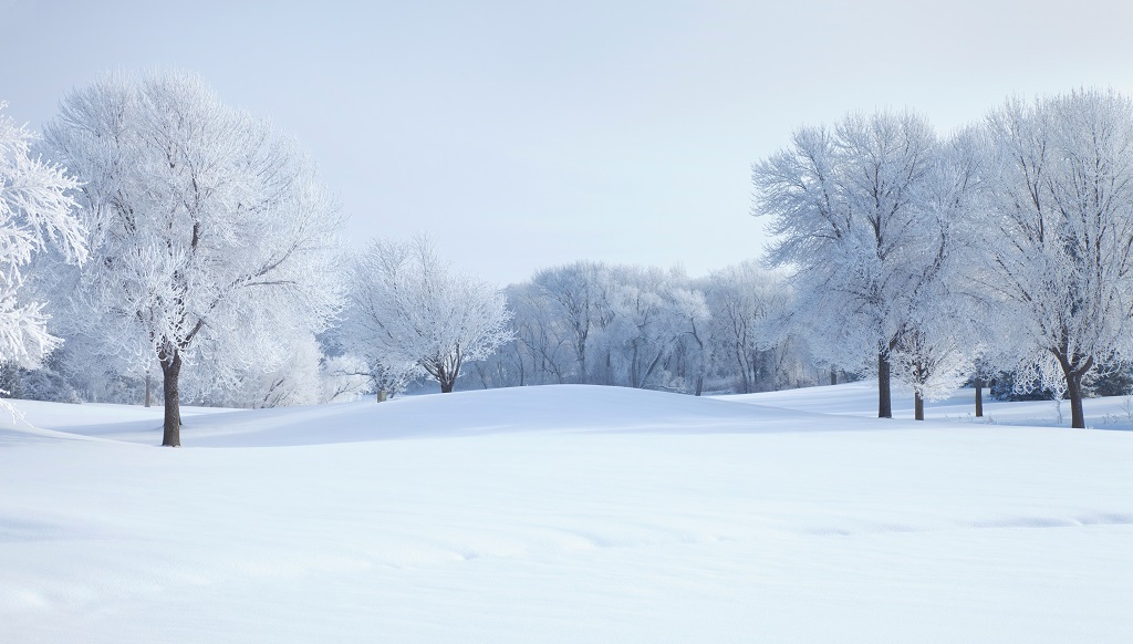 Snow Piles Minnesota Winter Facts