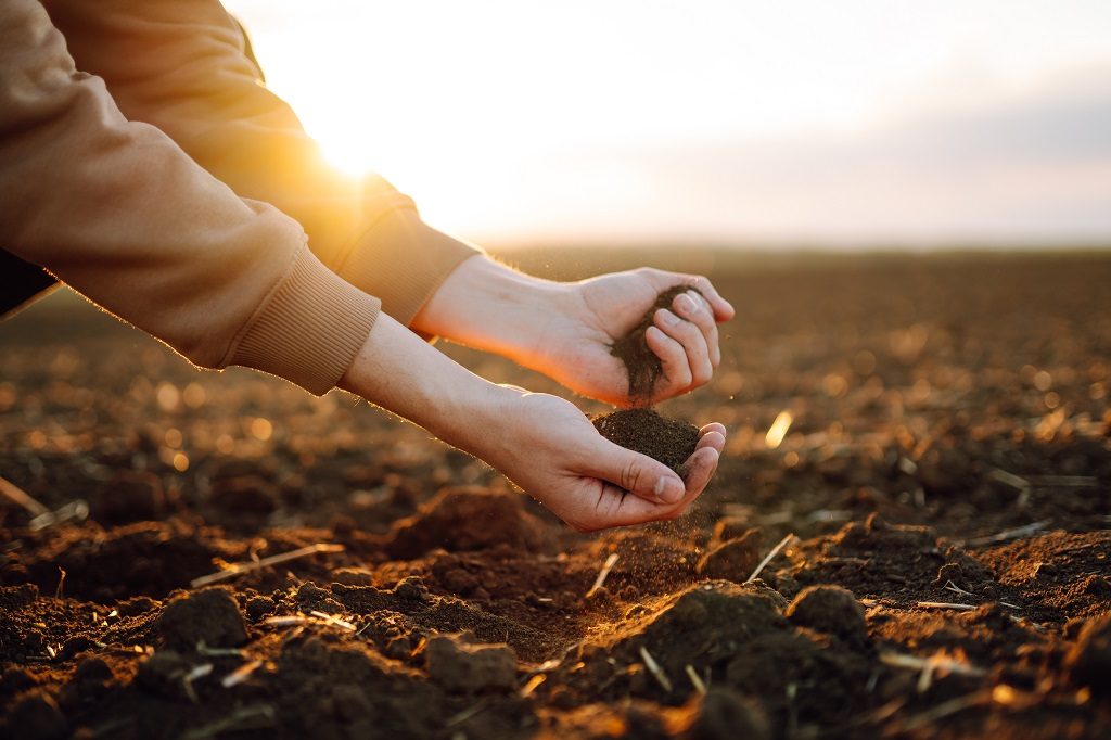 Use Quality Fertilizer