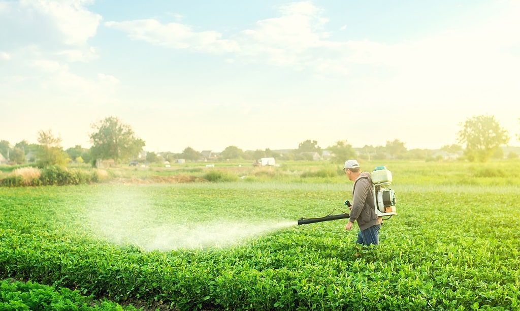 use fungicide