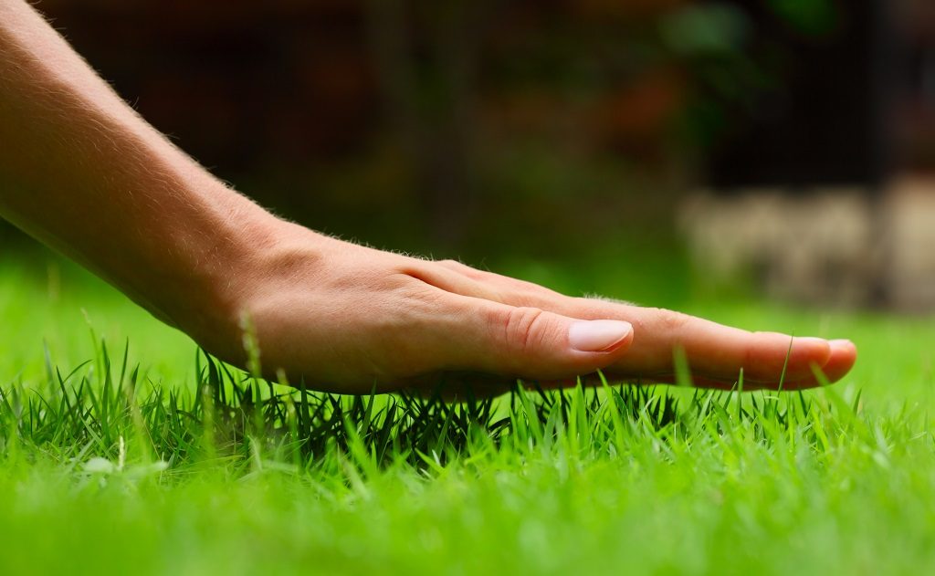 Lawn Care Contractor Warranty