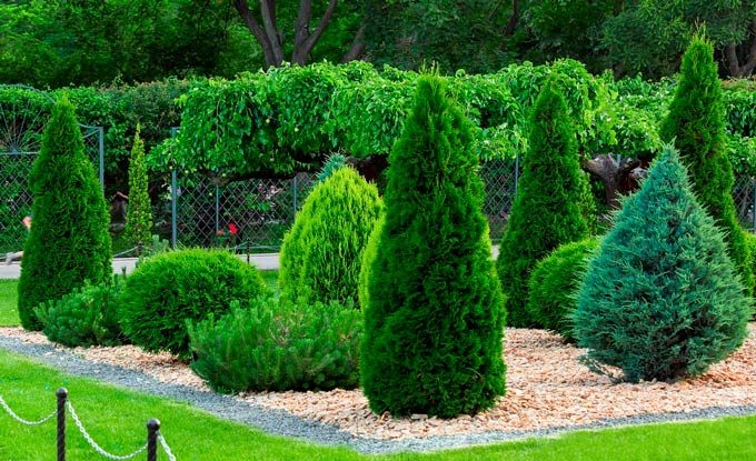 Stone and Gravel Mulch