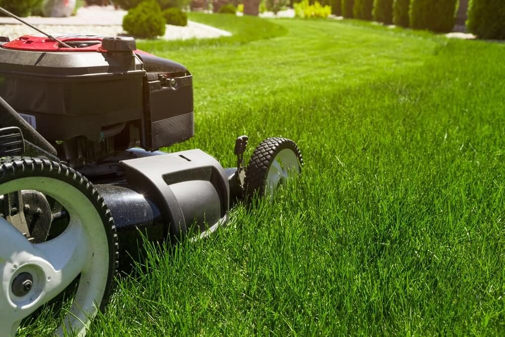 lawn mowing