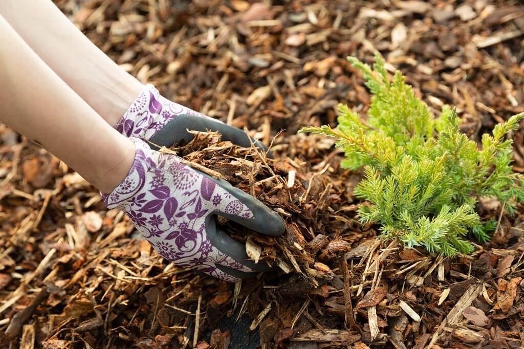 When Mulching Price Is Lower