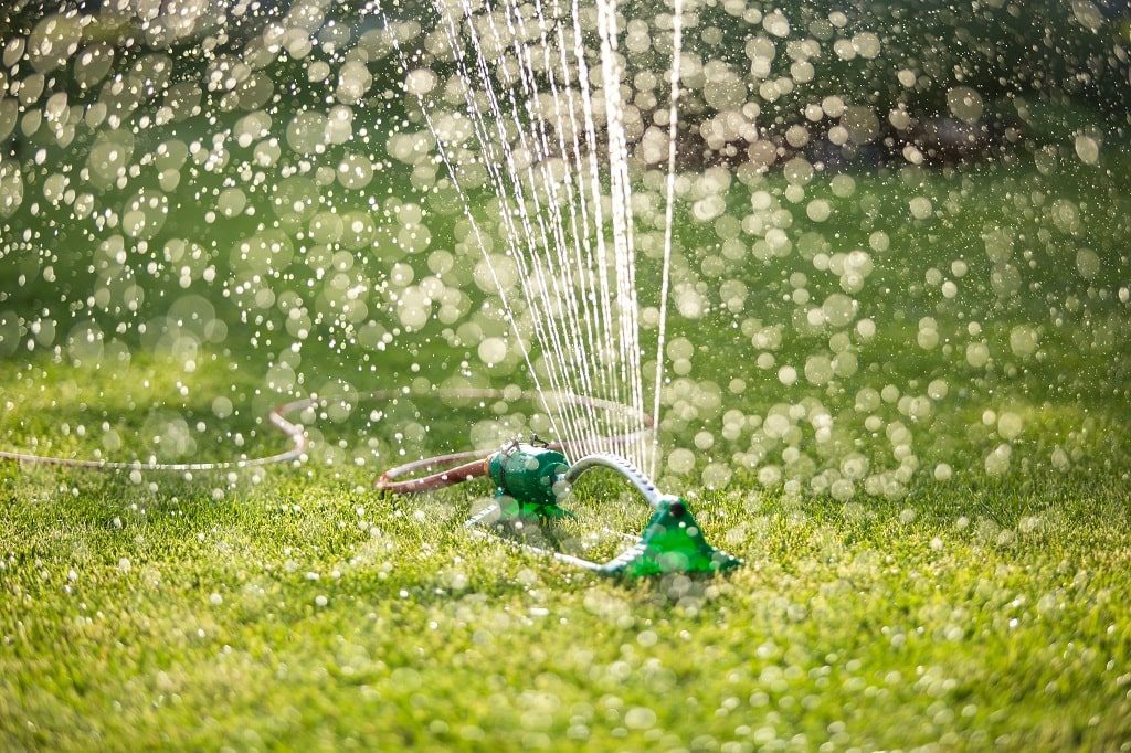 Lawn Watering Guide