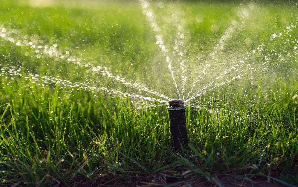 Lawn Watering Schedule