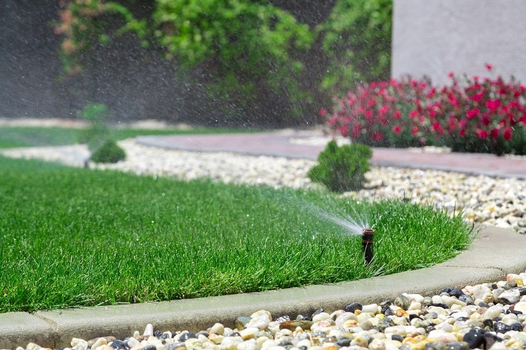 How Long to Water a Lawn