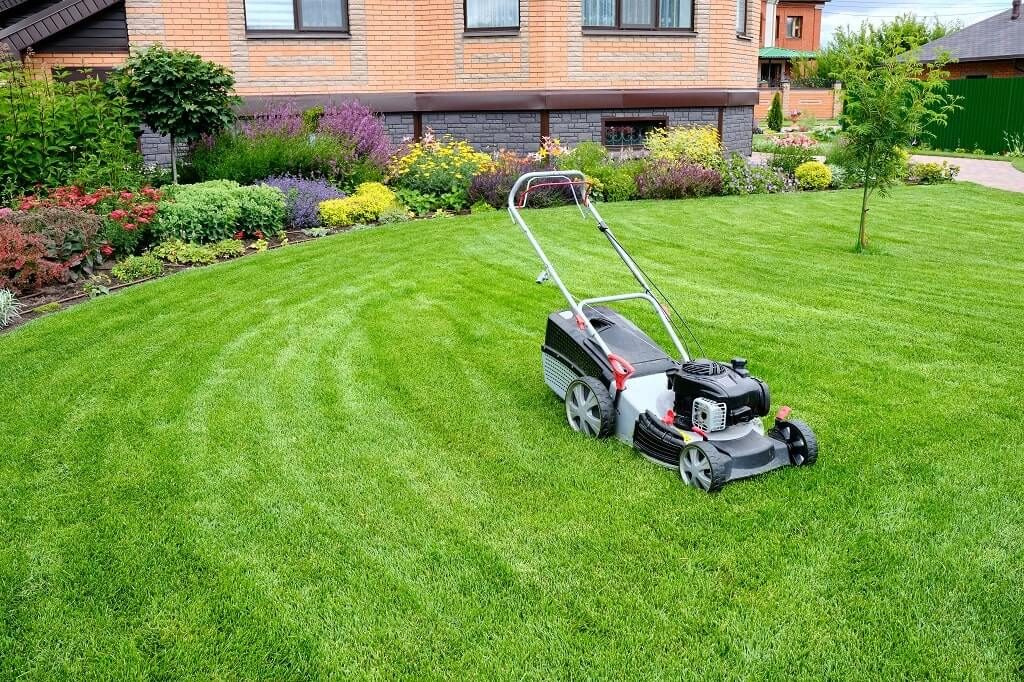 Mowing
