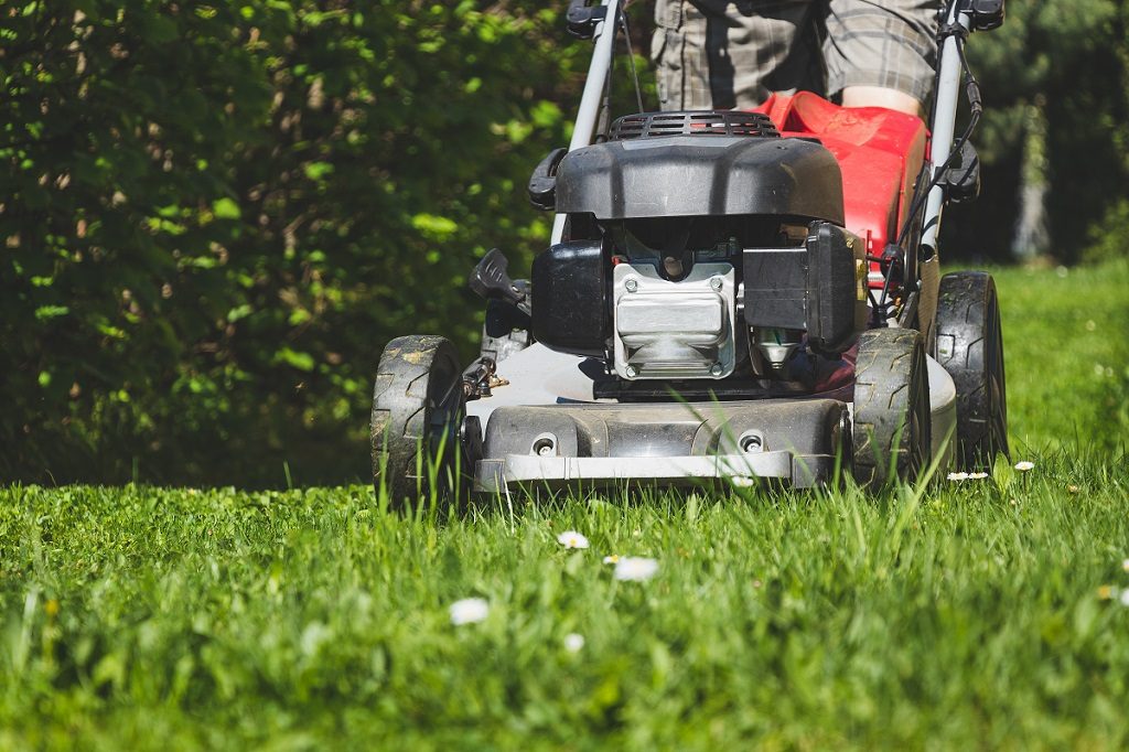 Timely Cropping Landscape Contractor