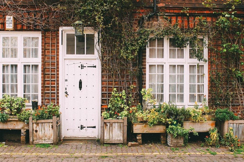 Introduce Planters