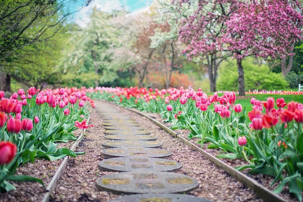 Use Borders to Organize Your Landscape