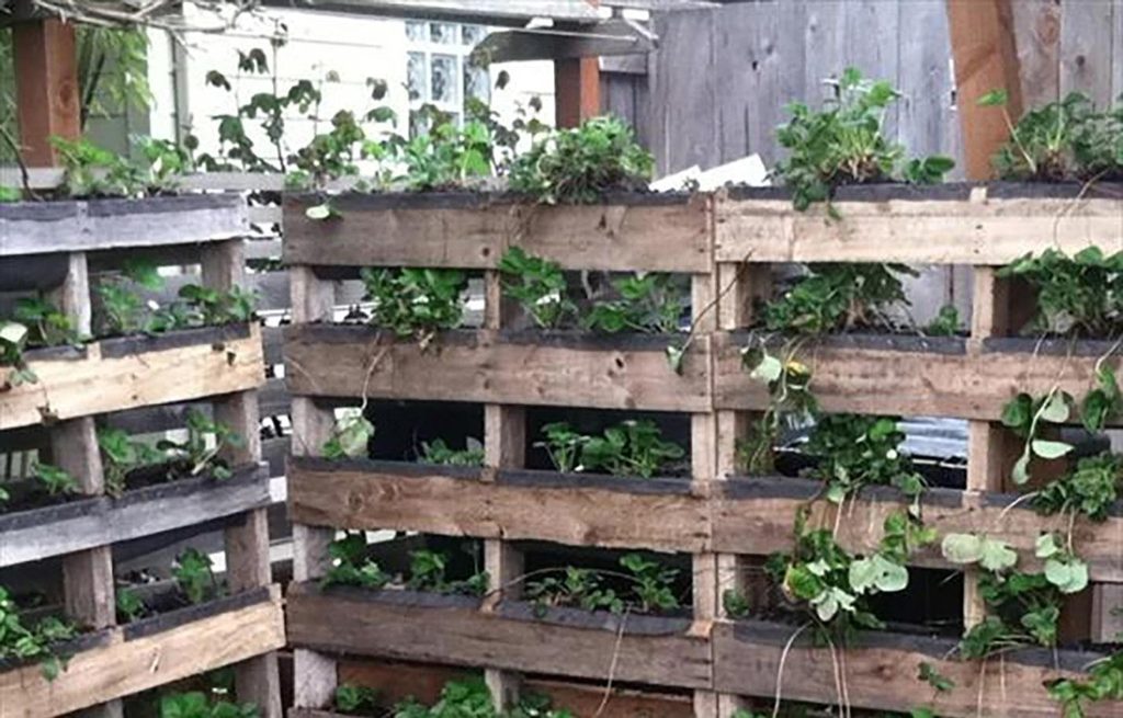 While You’re at it, Make Your Pallets into Planters