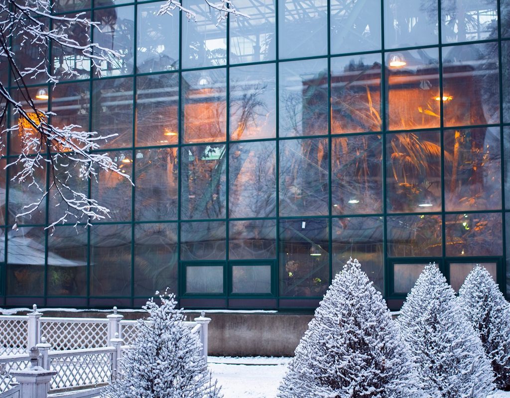 Winter is the Best Time to Hire a Landscape Maintenance Contractor