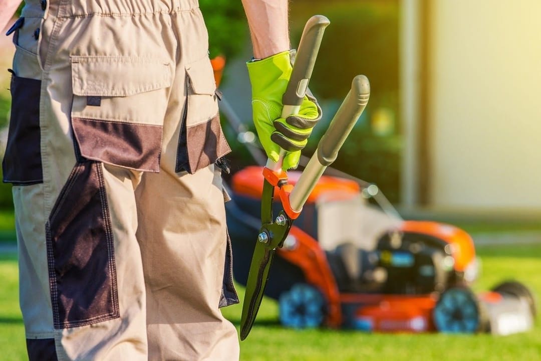 Commercial Landscaping Services Near The Brookfield Area