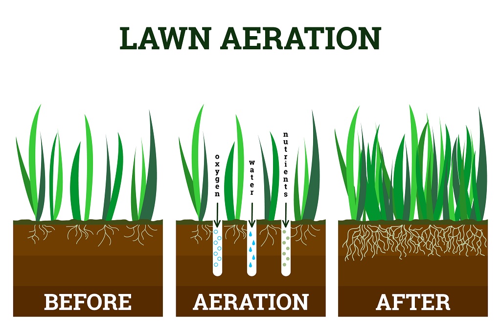 xeriscape landscaping