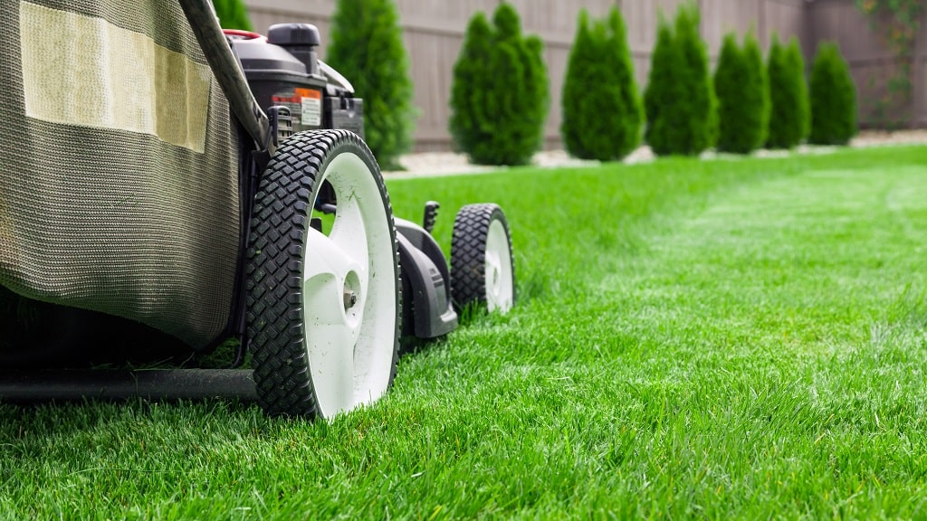 Summer Lawn Care Calendar for Minnesota