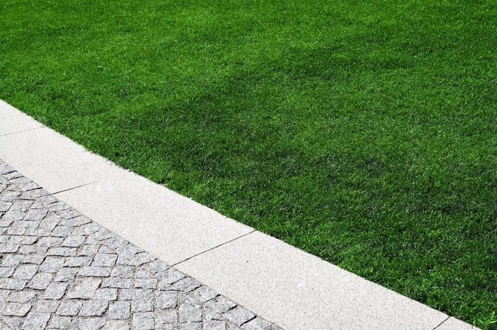 How to Get Dark Green Grass: 7 Tips to Consider