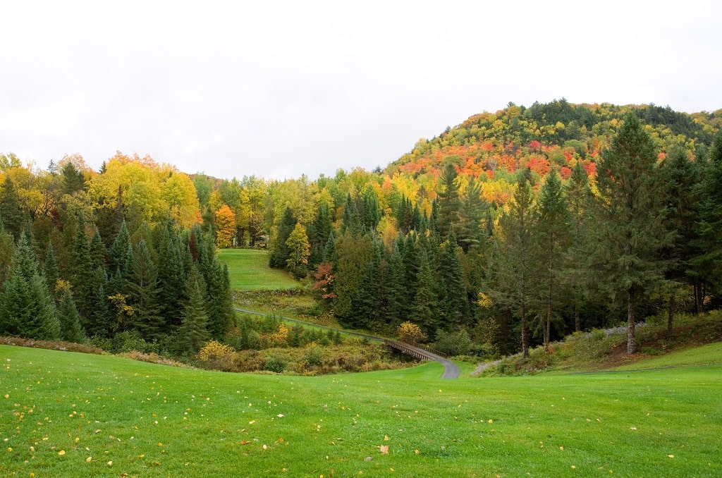 Cool Season Grasses: Lawn Maintenance Calendar