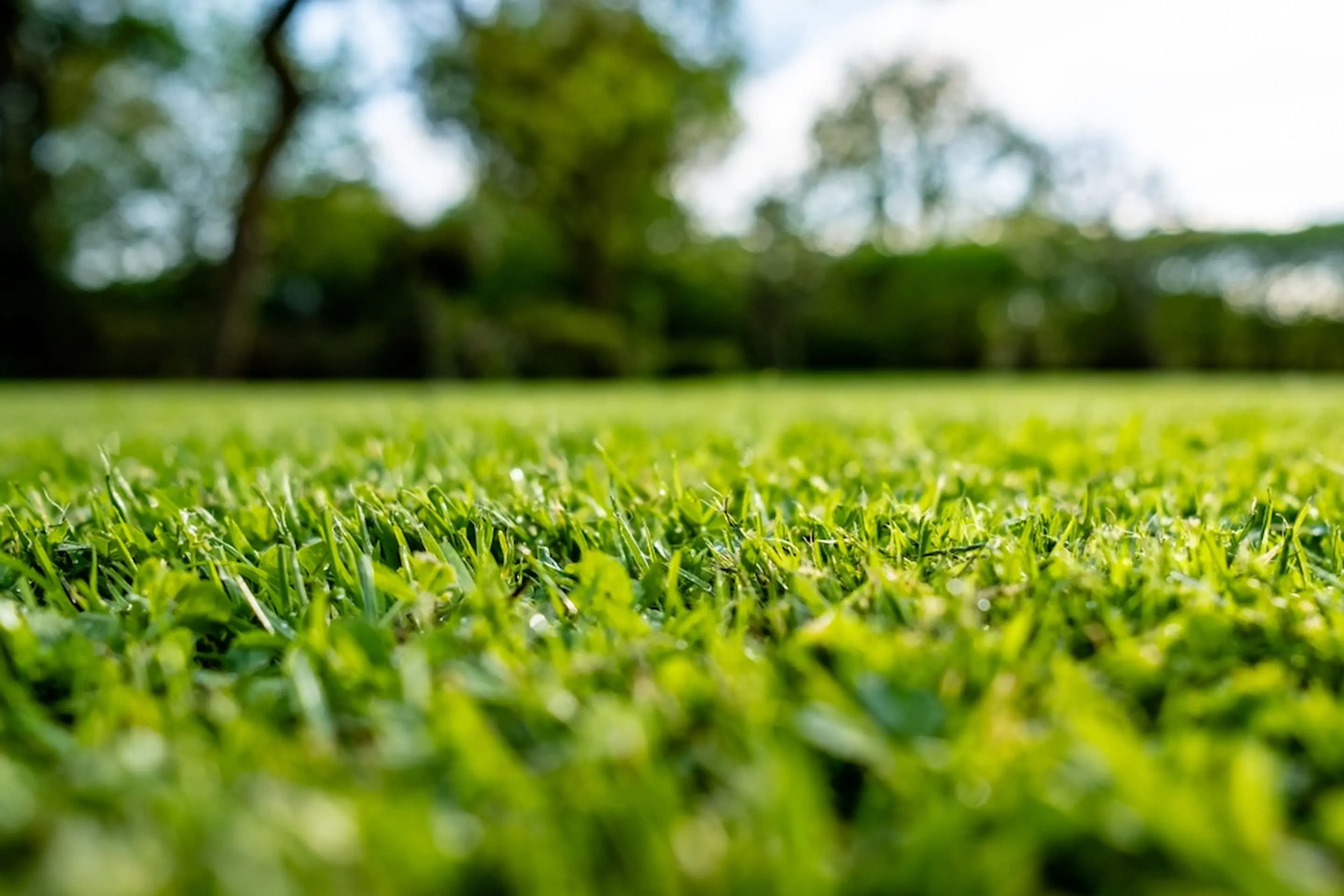 Des Moines, IA Commercial Landscaping & Lawn Care Earth Development