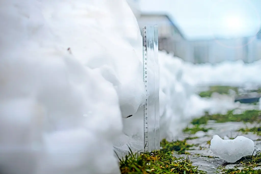 how much does snow removal cost