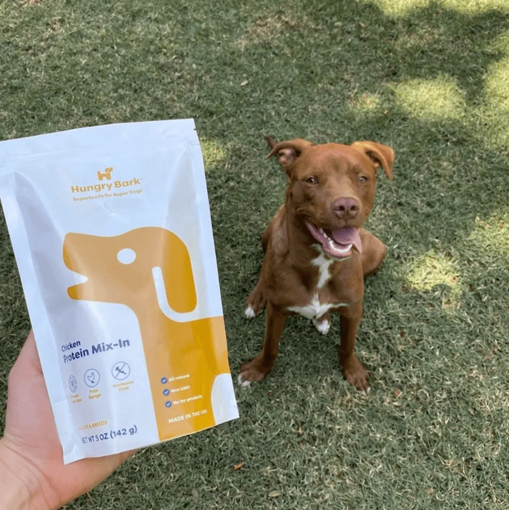 happy dog
