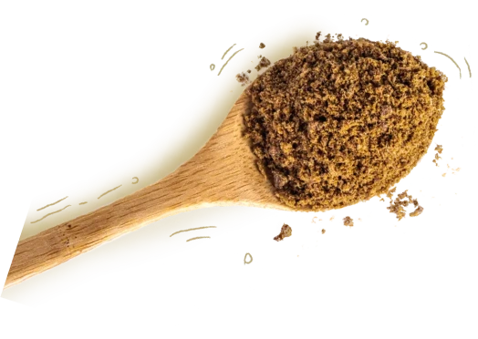 Spoon with dog food