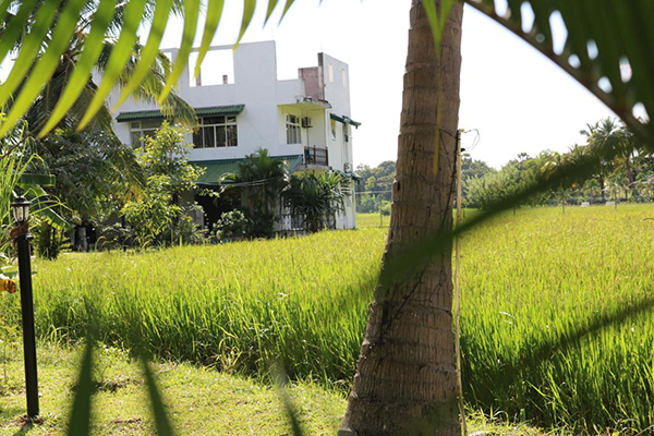 Manel Guest House