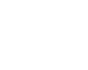 Fesler Design Studio's logo icon mark