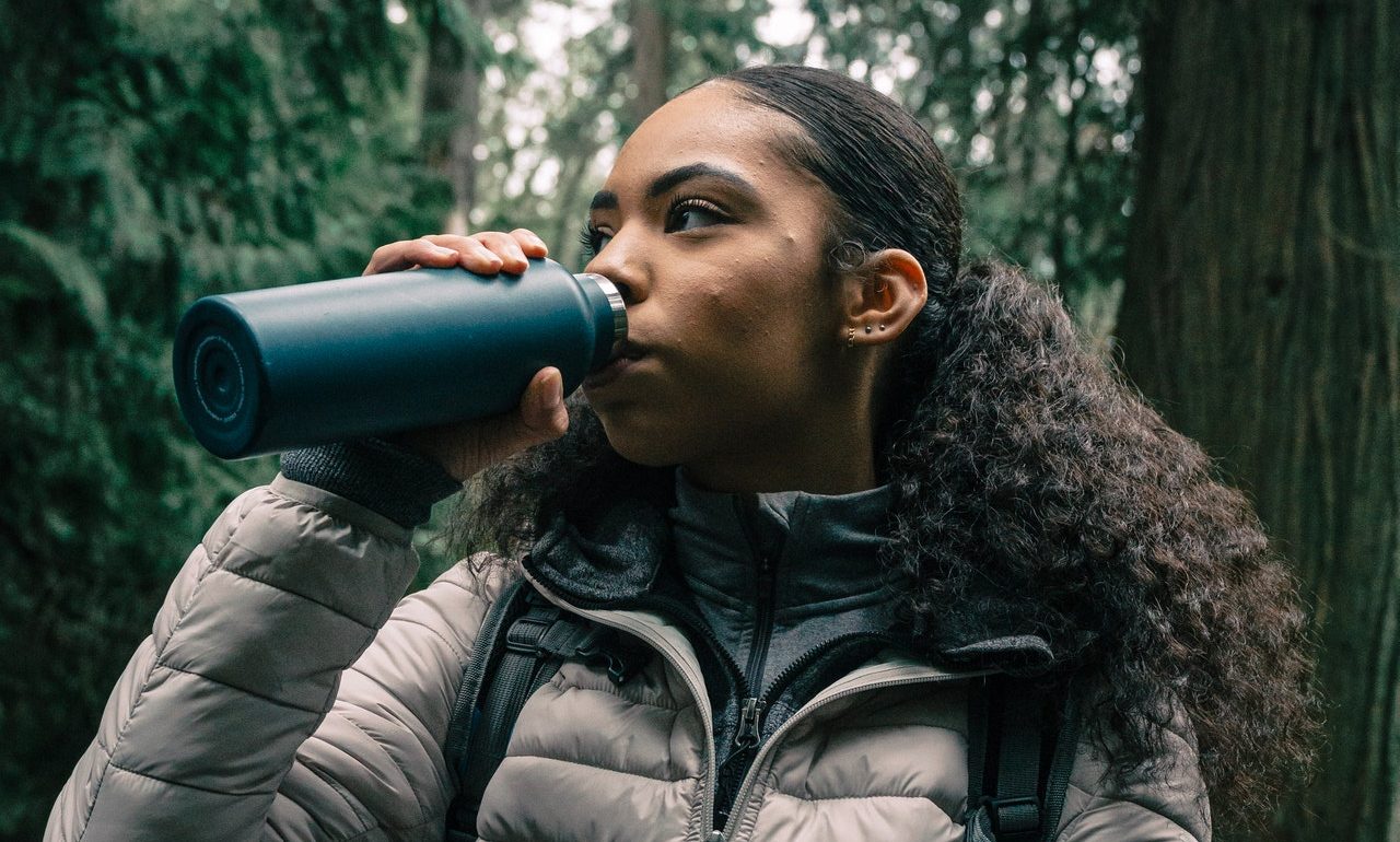 Water purifier, a travel gadget