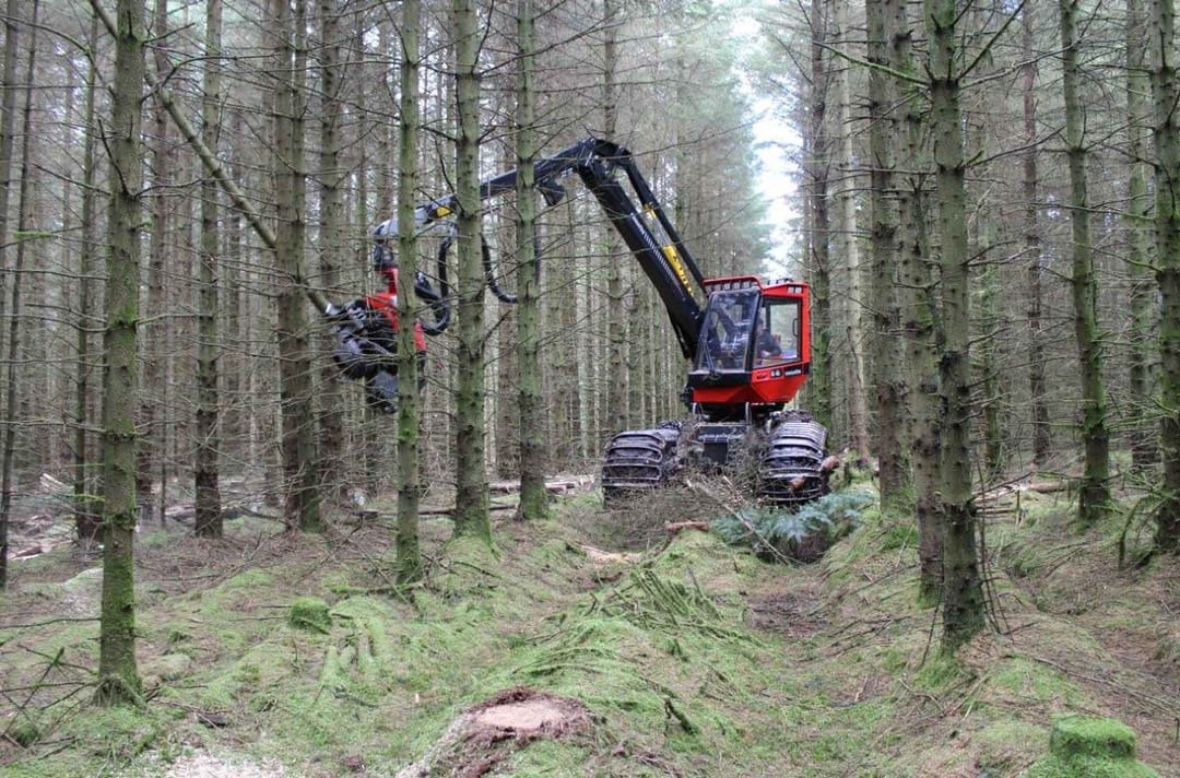 Harvesting Thinning Euroforest Ltd