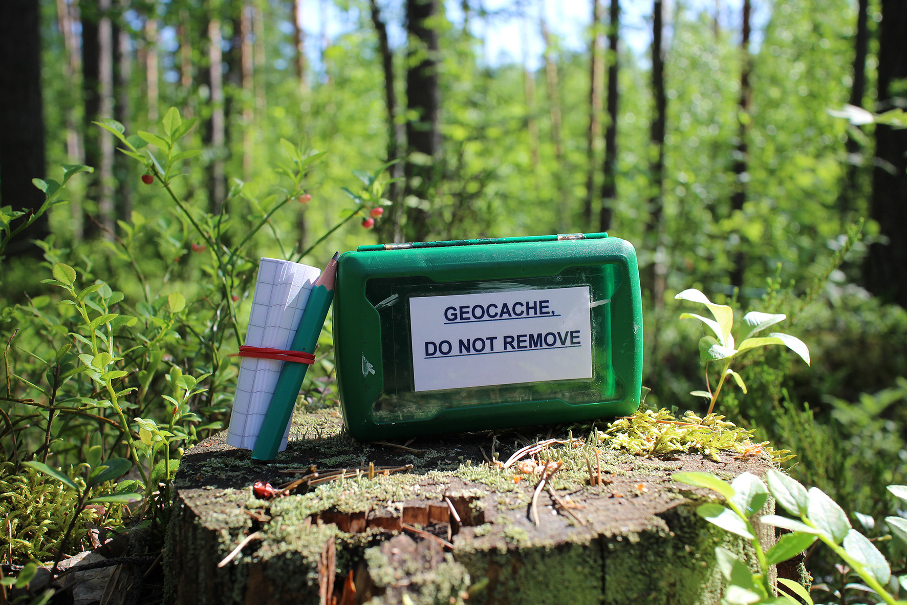 Geocache hiding place