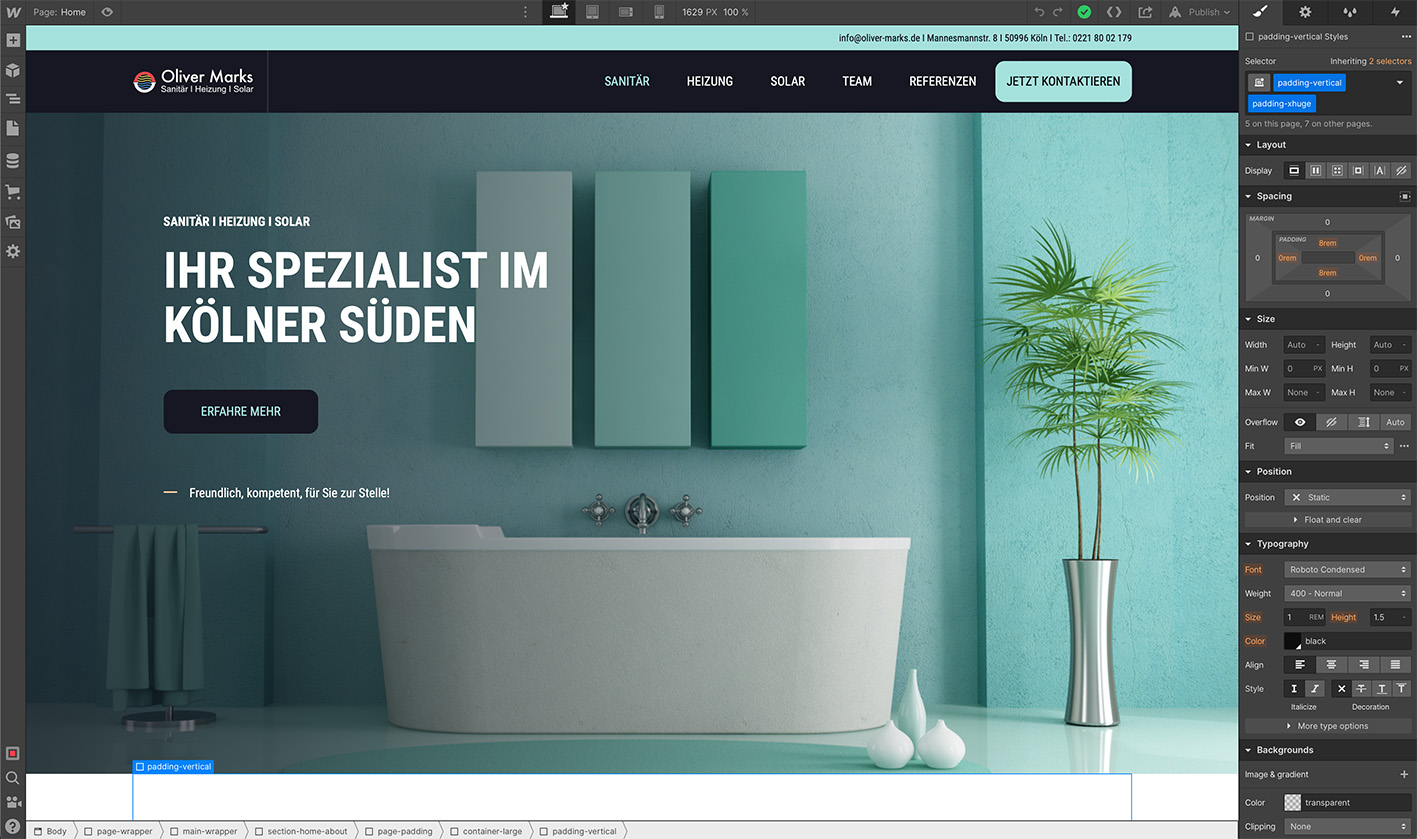 screenshot einer website die mit webflow erstellt wurde