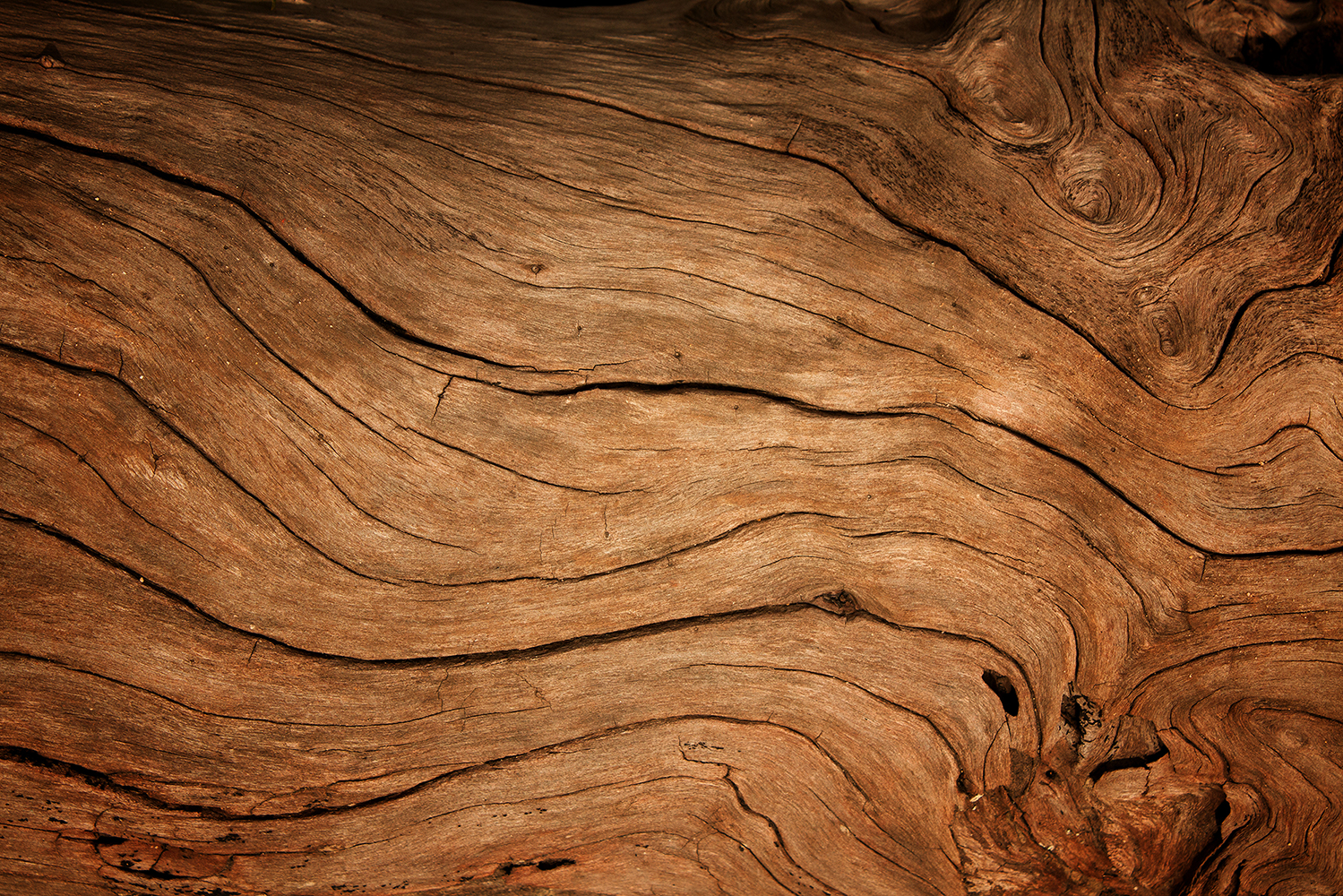 Woodgrain background image
